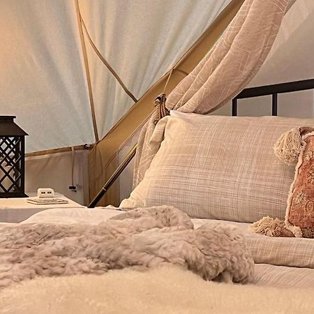 Shenandoah Valley Glamping - Amazing Views - Farm Edinburg Ngoại thất bức ảnh