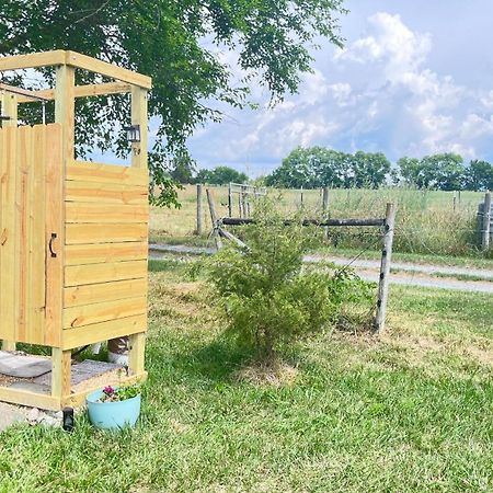 Shenandoah Valley Glamping - Amazing Views - Farm Edinburg Ngoại thất bức ảnh