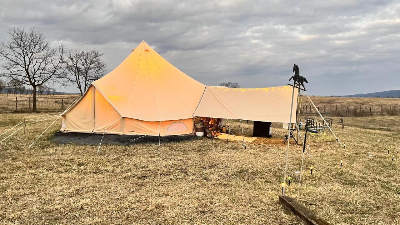Shenandoah Valley Glamping - Amazing Views - Farm Edinburg Ngoại thất bức ảnh