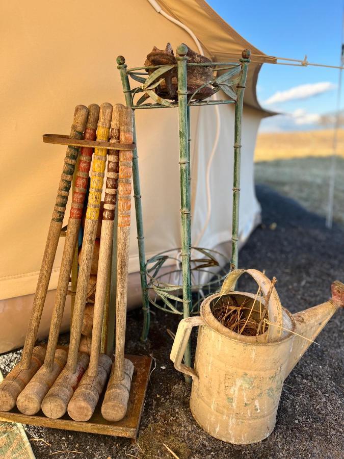 Shenandoah Valley Glamping - Amazing Views - Farm Edinburg Ngoại thất bức ảnh