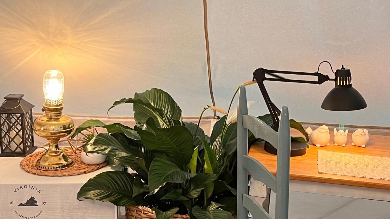 Shenandoah Valley Glamping - Amazing Views - Farm Edinburg Ngoại thất bức ảnh