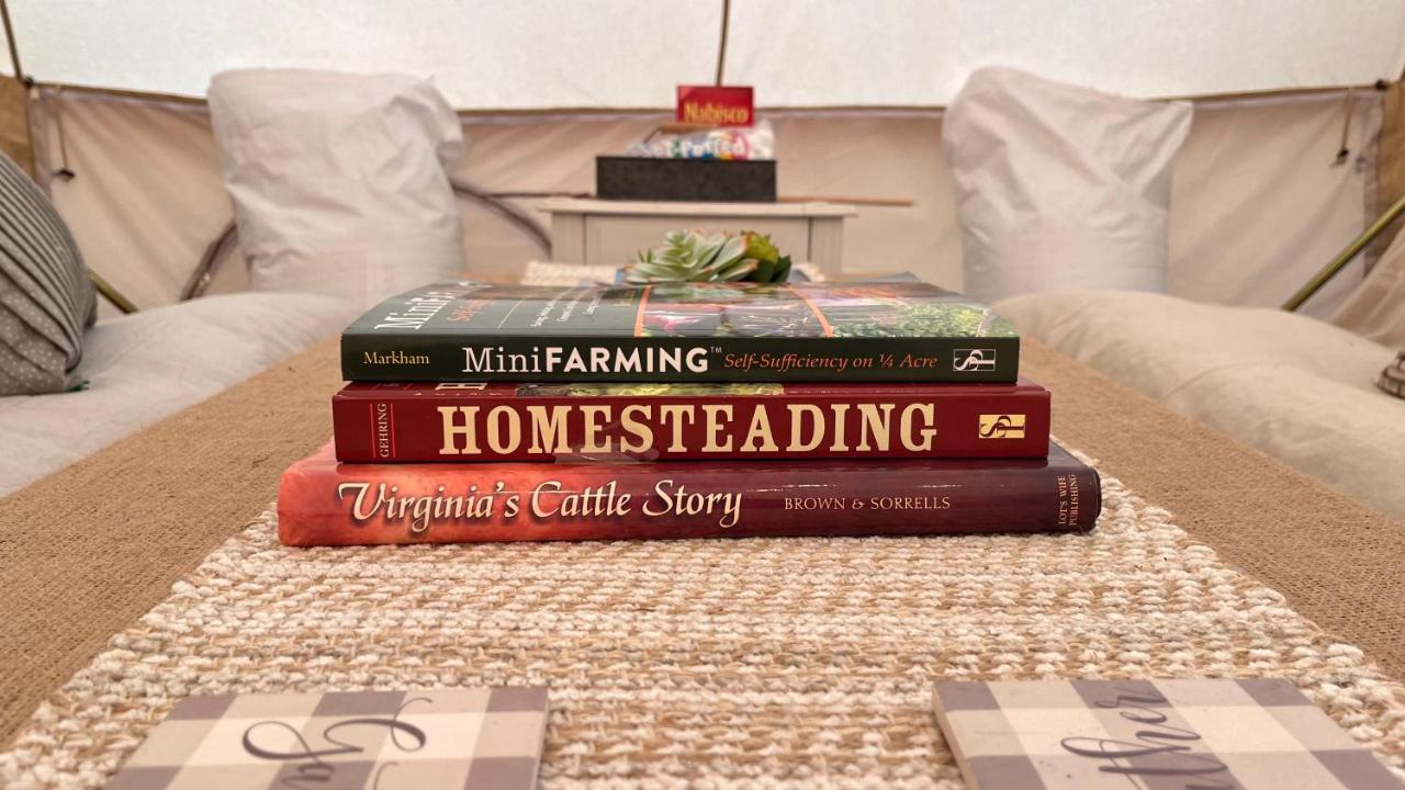 Shenandoah Valley Glamping - Amazing Views - Farm Edinburg Ngoại thất bức ảnh