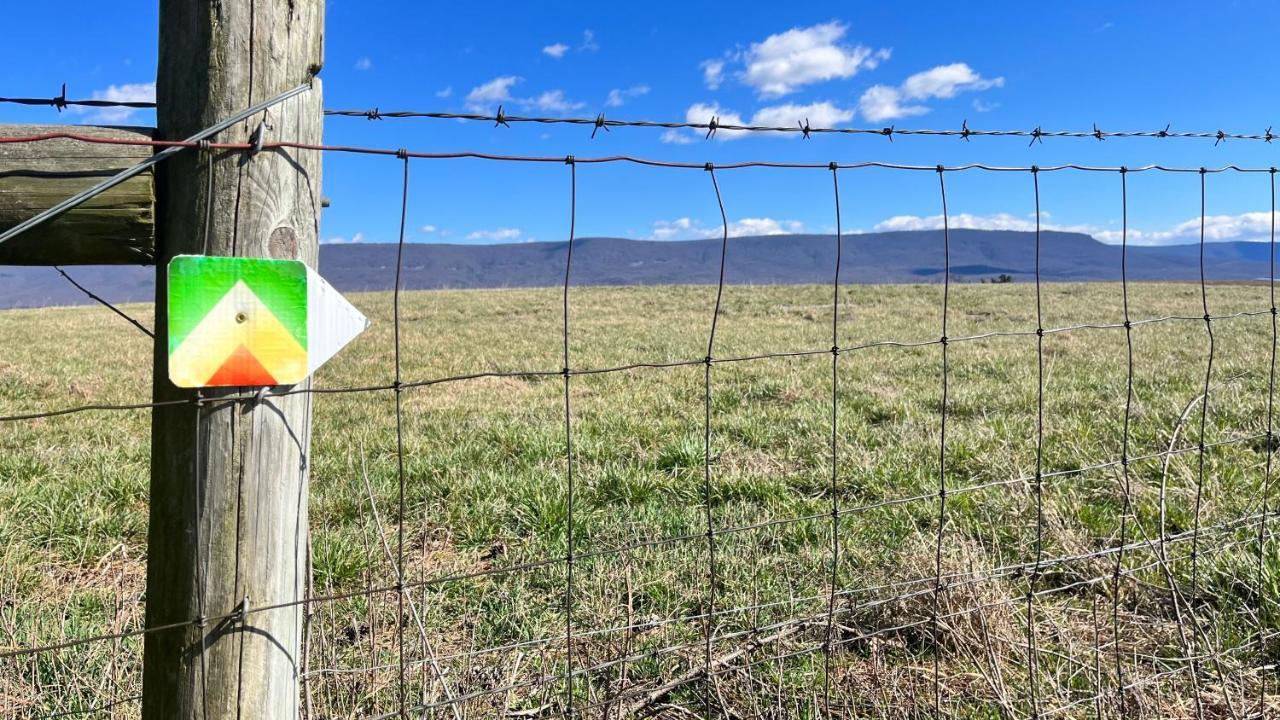 Shenandoah Valley Glamping - Amazing Views - Farm Edinburg Ngoại thất bức ảnh