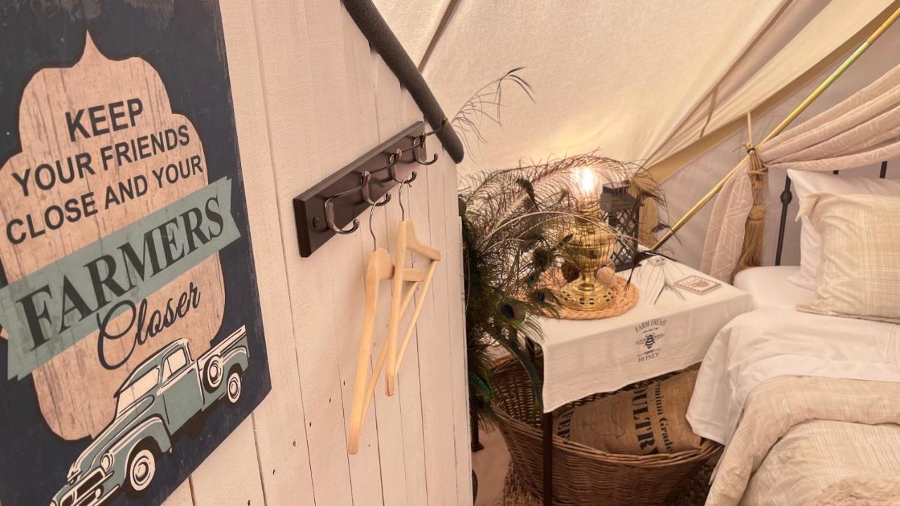 Shenandoah Valley Glamping - Amazing Views - Farm Edinburg Ngoại thất bức ảnh