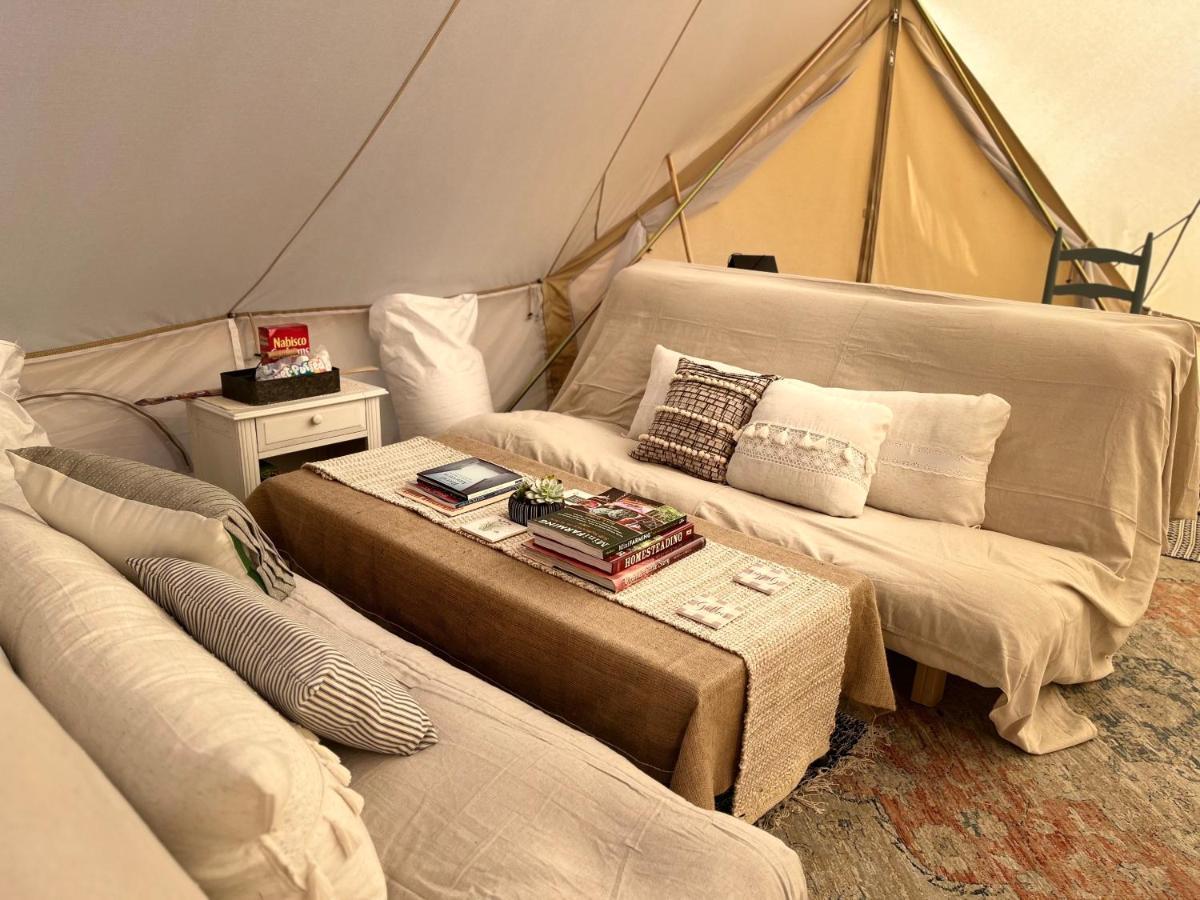 Shenandoah Valley Glamping - Amazing Views - Farm Edinburg Ngoại thất bức ảnh