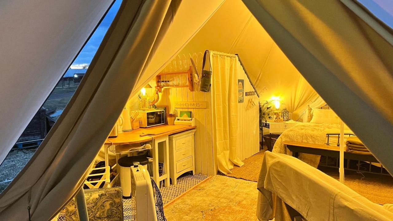 Shenandoah Valley Glamping - Amazing Views - Farm Edinburg Ngoại thất bức ảnh
