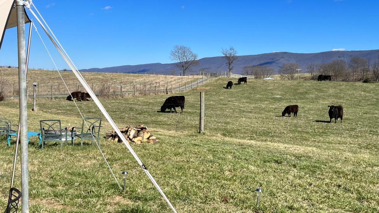 Shenandoah Valley Glamping - Amazing Views - Farm Edinburg Ngoại thất bức ảnh